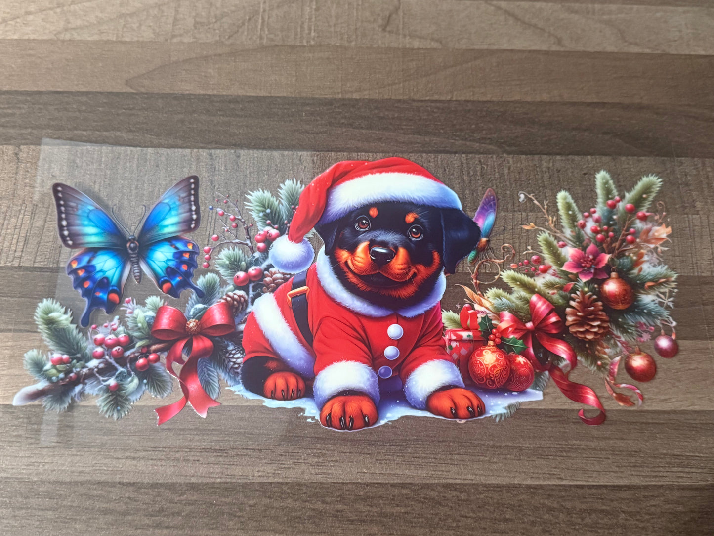 Christmas D5