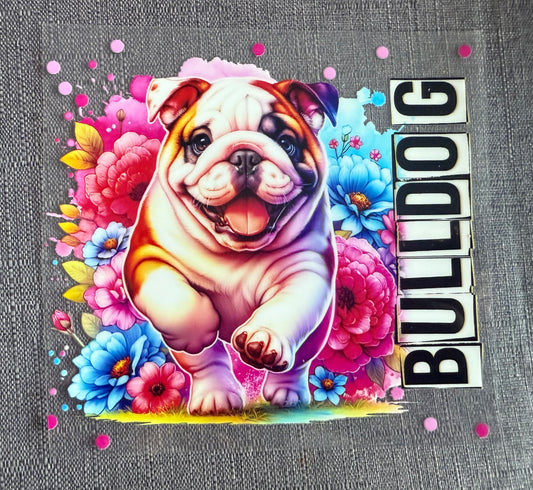 Dog Wrap A7