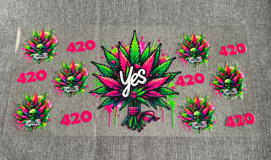Herbal B0 (Adults Only)