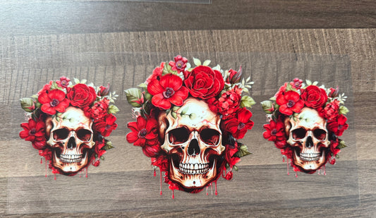 Skull A1