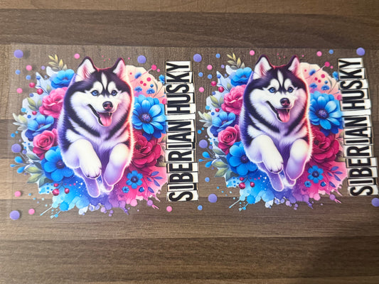 Dog Wrap B1