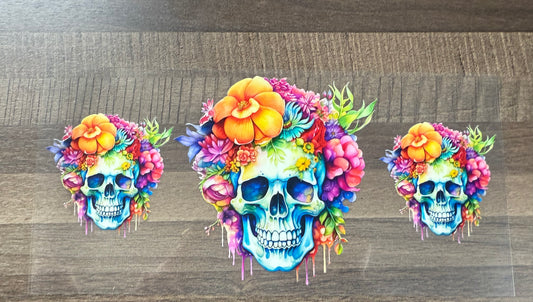 Skull A0