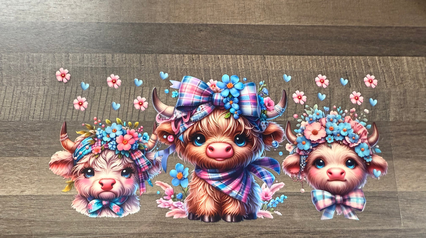 Cow C4