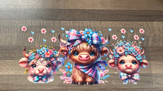 Cow C4