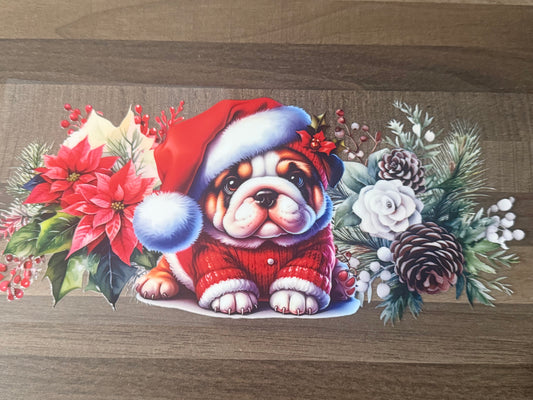 Christmas D6