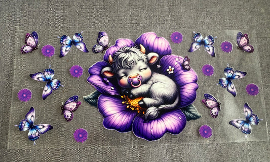 Cow A6