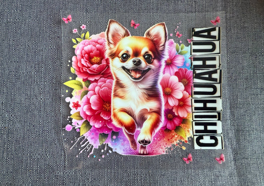 Dog Wrap A1